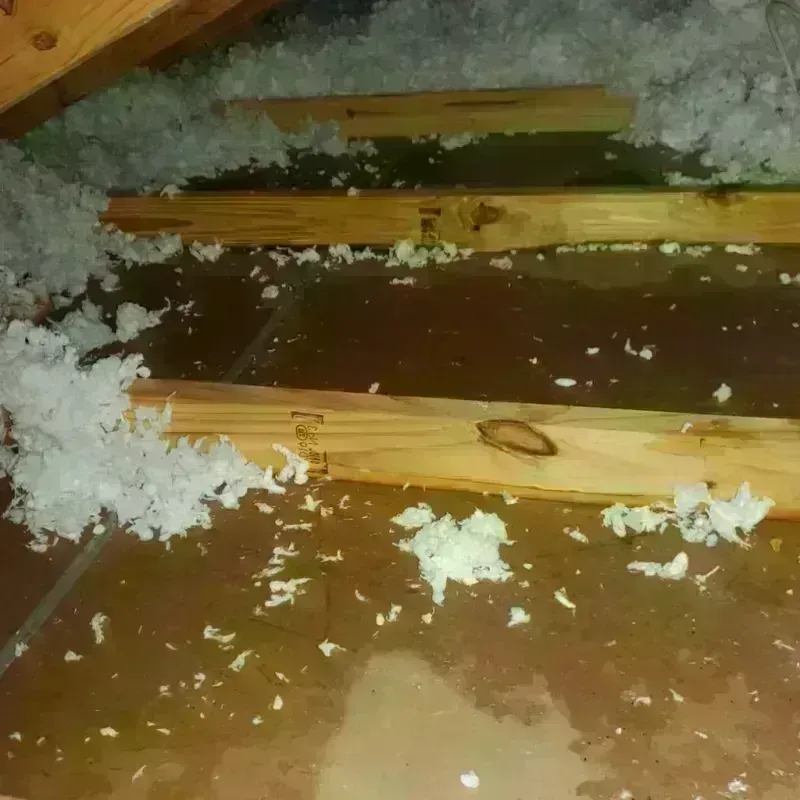 Attic Water Damage in Port Dickinson, NY